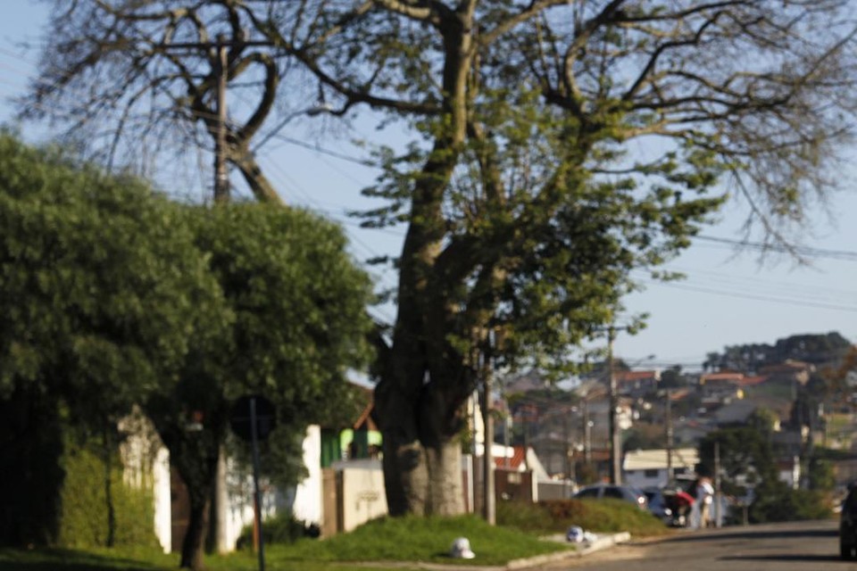 | Jonathan Campos/Gazeta do Povo/Arquivo/