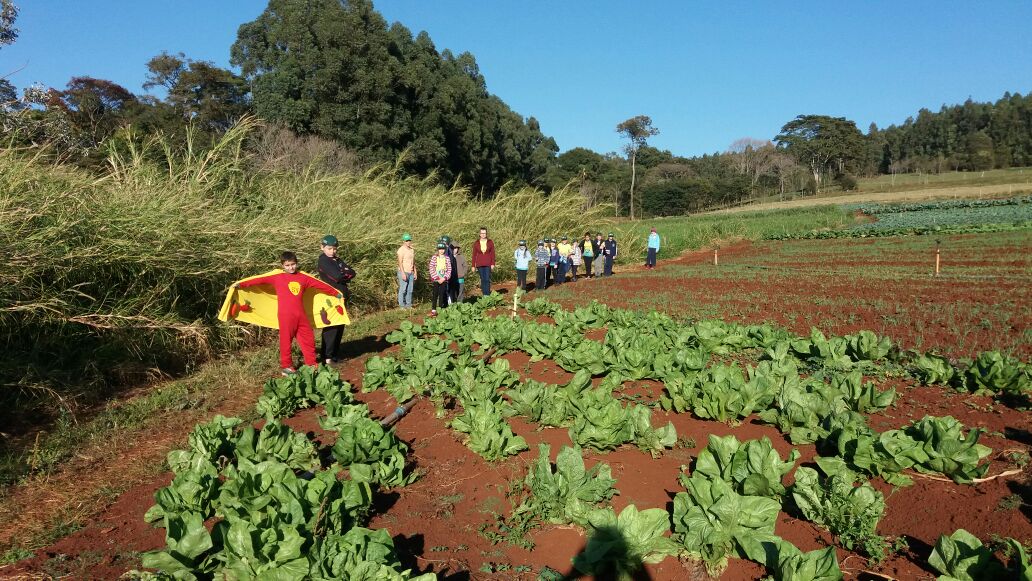 Turma do 4º ano do ensino fundamental realizou projeto de incentivo à alimentação saudável por meio do apoio à agricultura familiar | Divulgação/Graciele Cristiane Rambo Grenzel