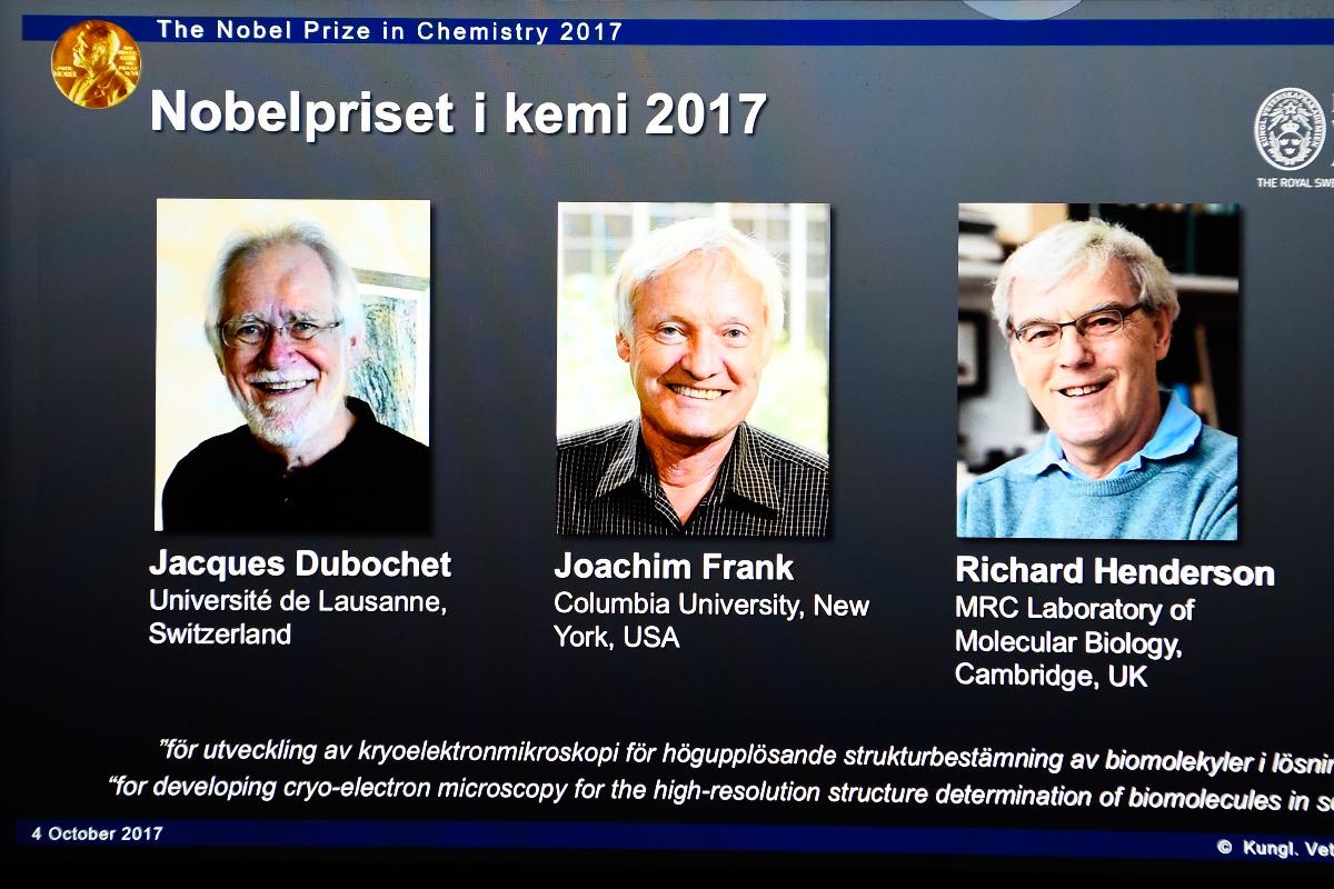 Pesquisadores vencedores do Nobel de Química descobriram método que simplifica visualização de moléculas | JONATHAN NACKSTRAND/AFP