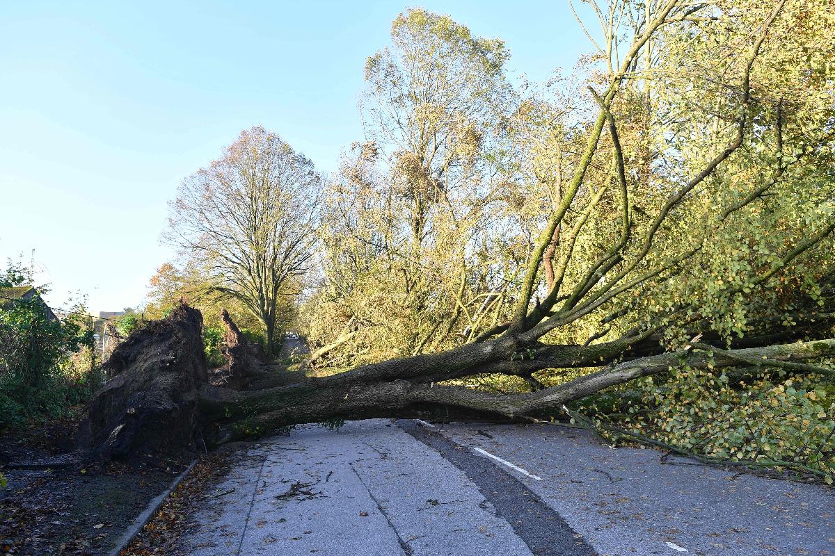 Estragos deixados pela tempestade Ophelia na Irlanda, nesta terça-feira | BEN STANSALL/AFP