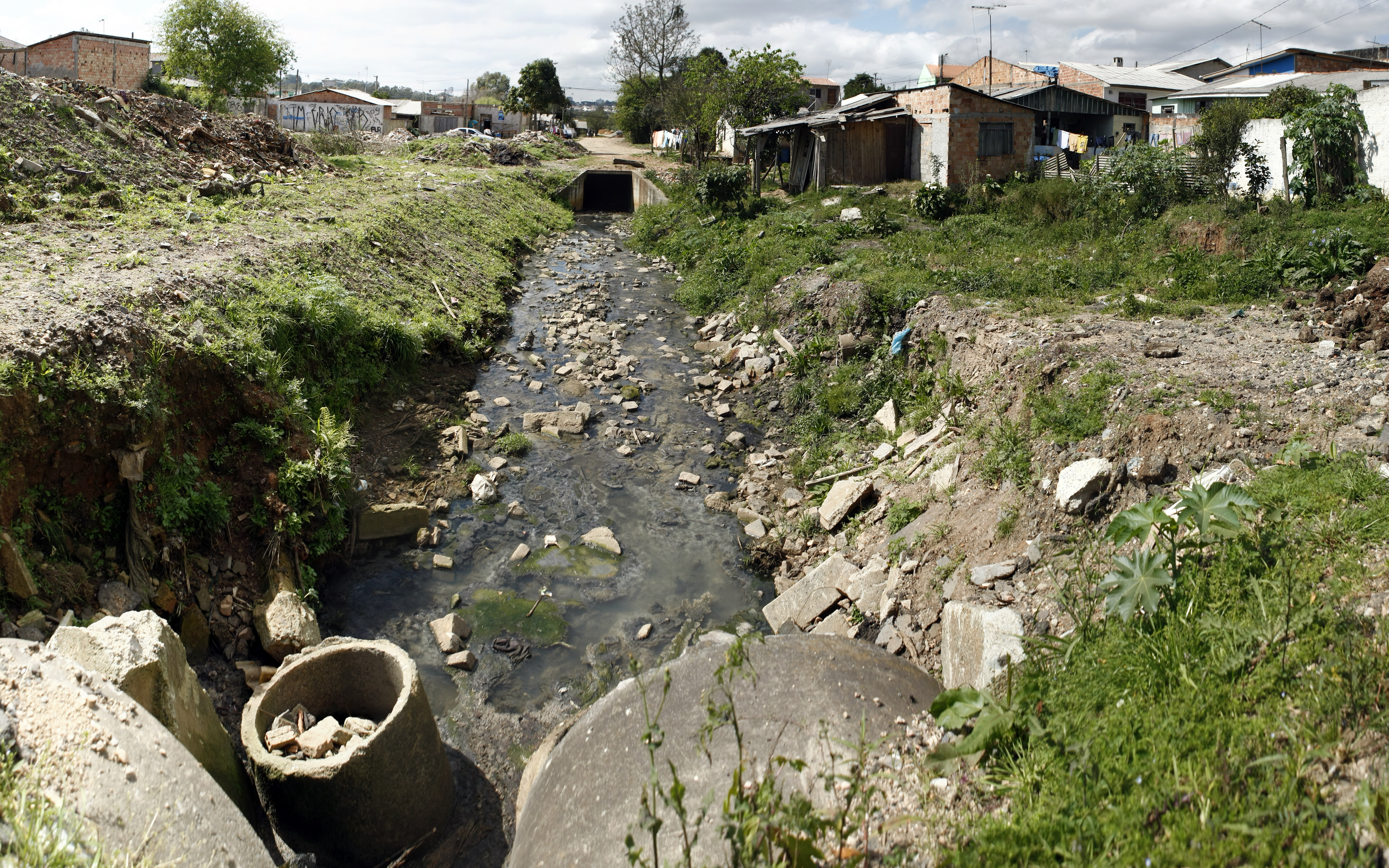  | Henry Milleo/Arquivo Gazeta do Povo