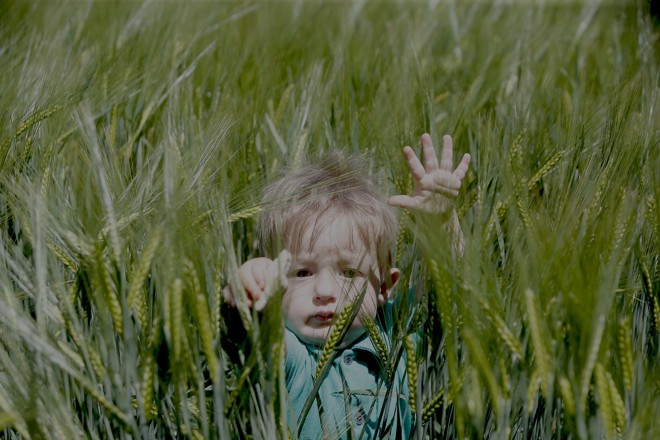  | Albari Rosa/Gazeta do Povo