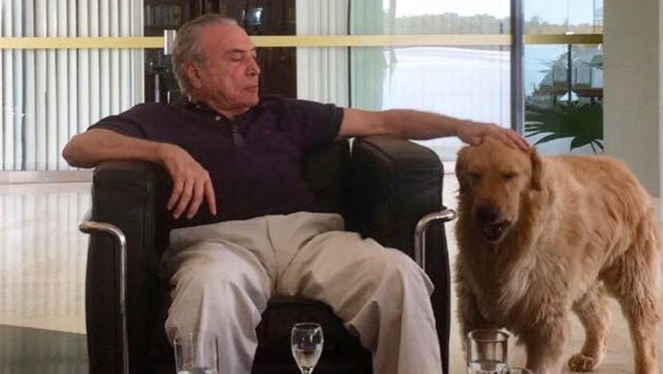 Um cachorro na política: os bastidores da entrada de Thor na agenda presidencial | Divulgação/Facebook