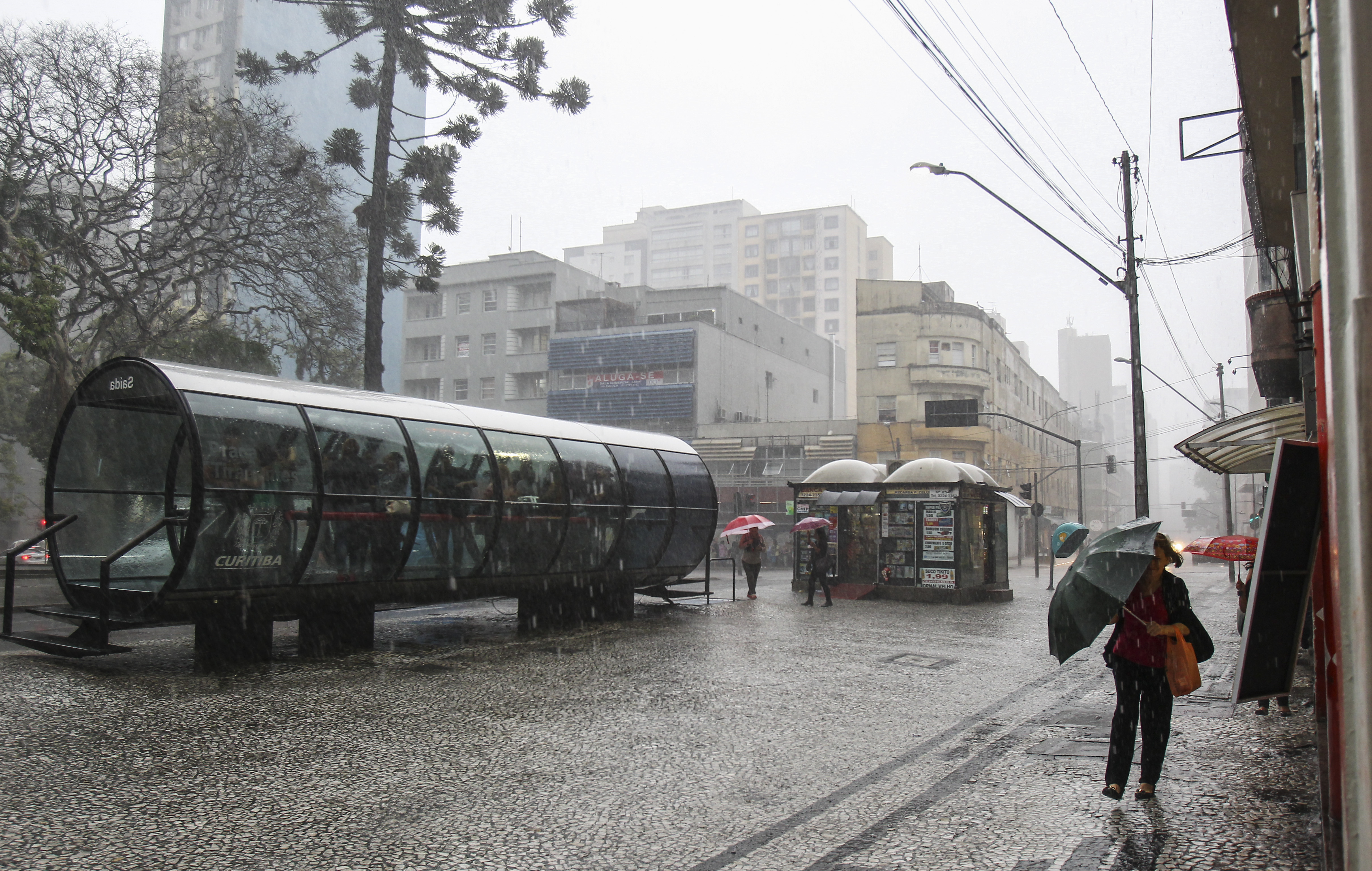 | Daniel Castellano/Gazeta do Povo/Arquivo