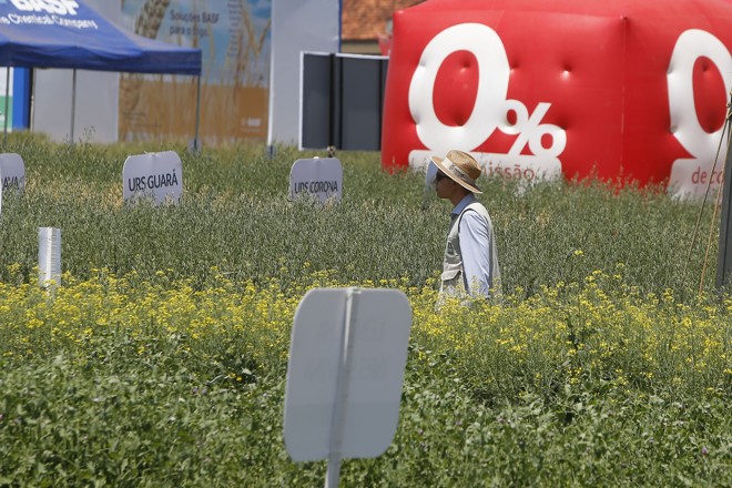  | Albari Rosa/Gazeta do Povo