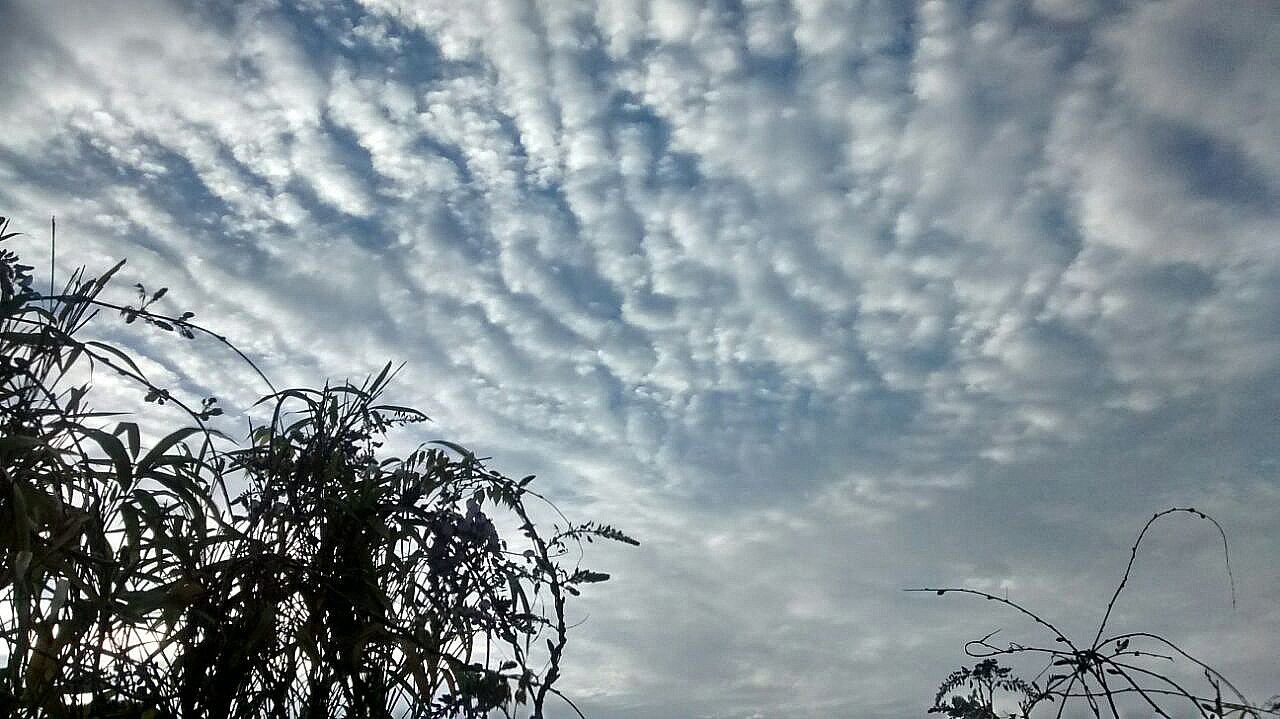 | Aniele Nascimento/Gazeta do Povo