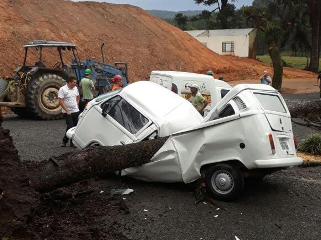 | Santa Catarina em Fotos/