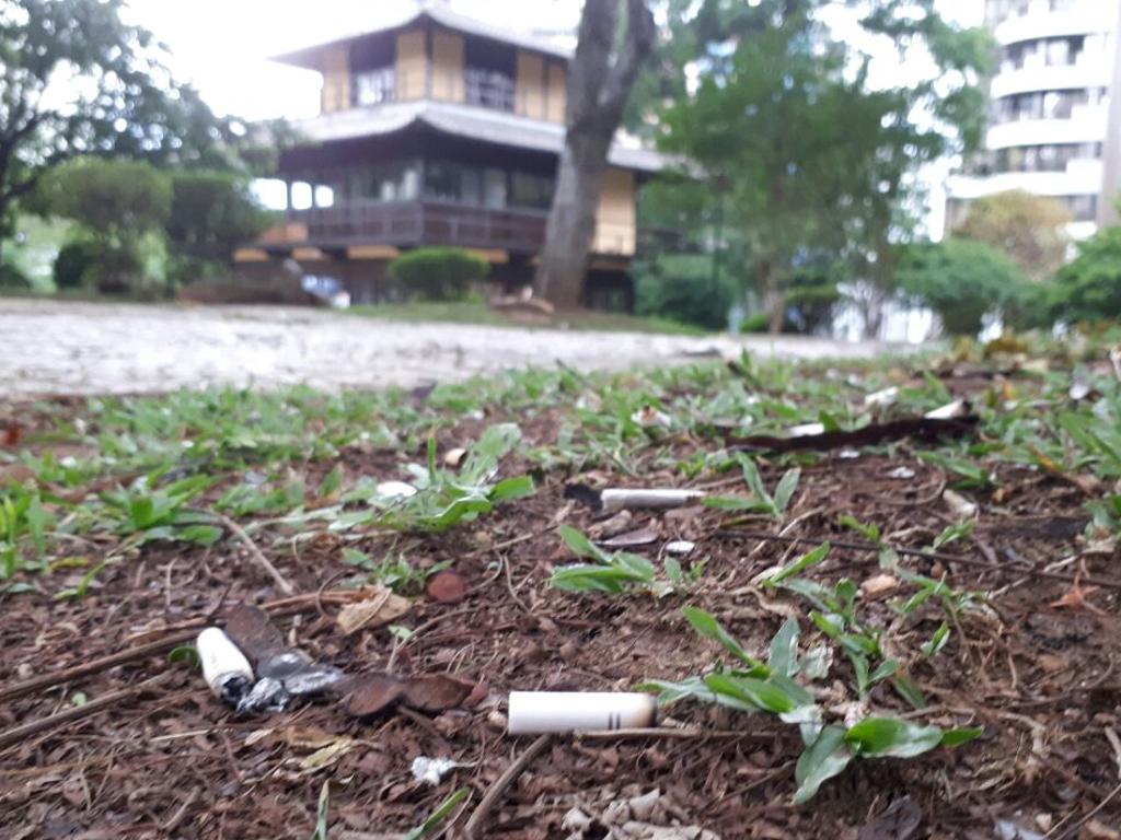 Garis têm dificuldade em recolher as bitucas do gramado da Praça do Japão. | Cecília Tümler/Gazeta do Povo