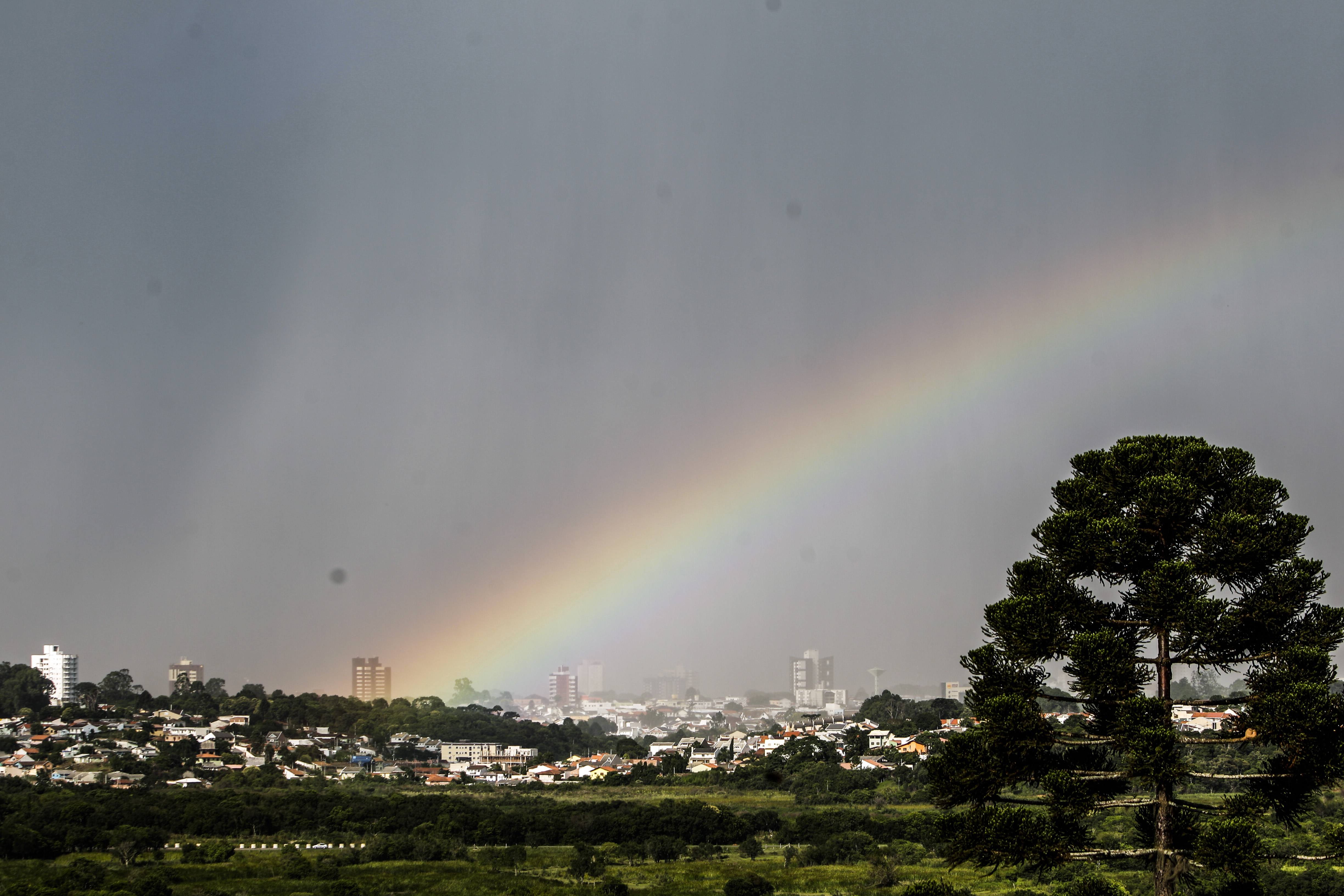 | Daniel Castellano / AGP/Daniel Castellano / AGP