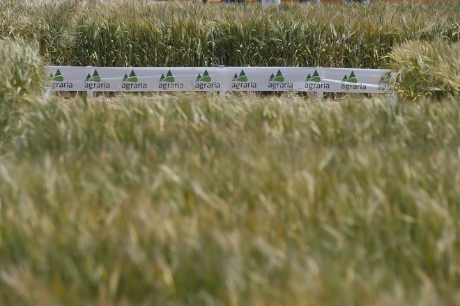  | Albari Rosa/Gazeta do Povo