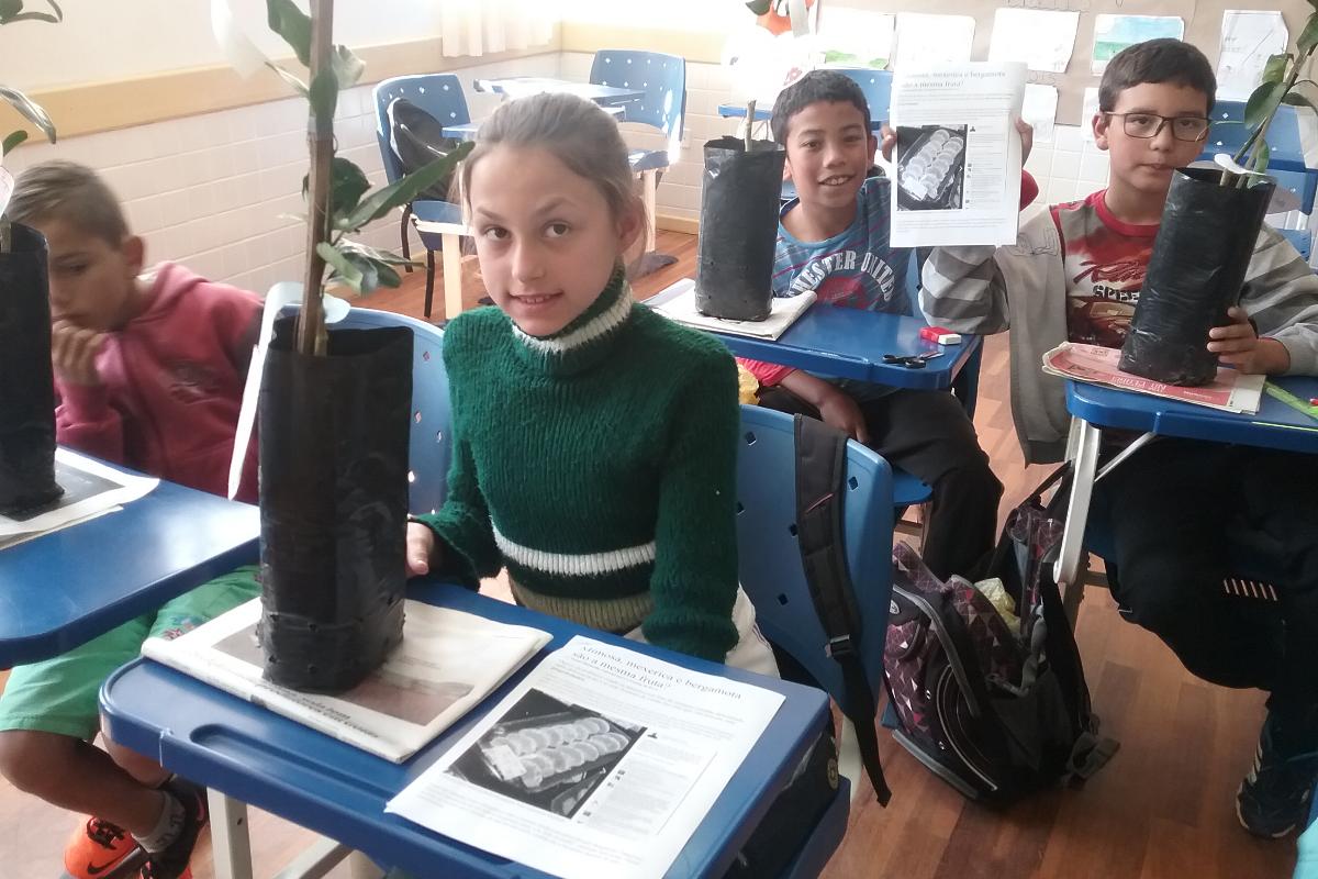 Cada aluno com a sua muda de poncã na ERM Estação do Tronco | Acervo pessoal