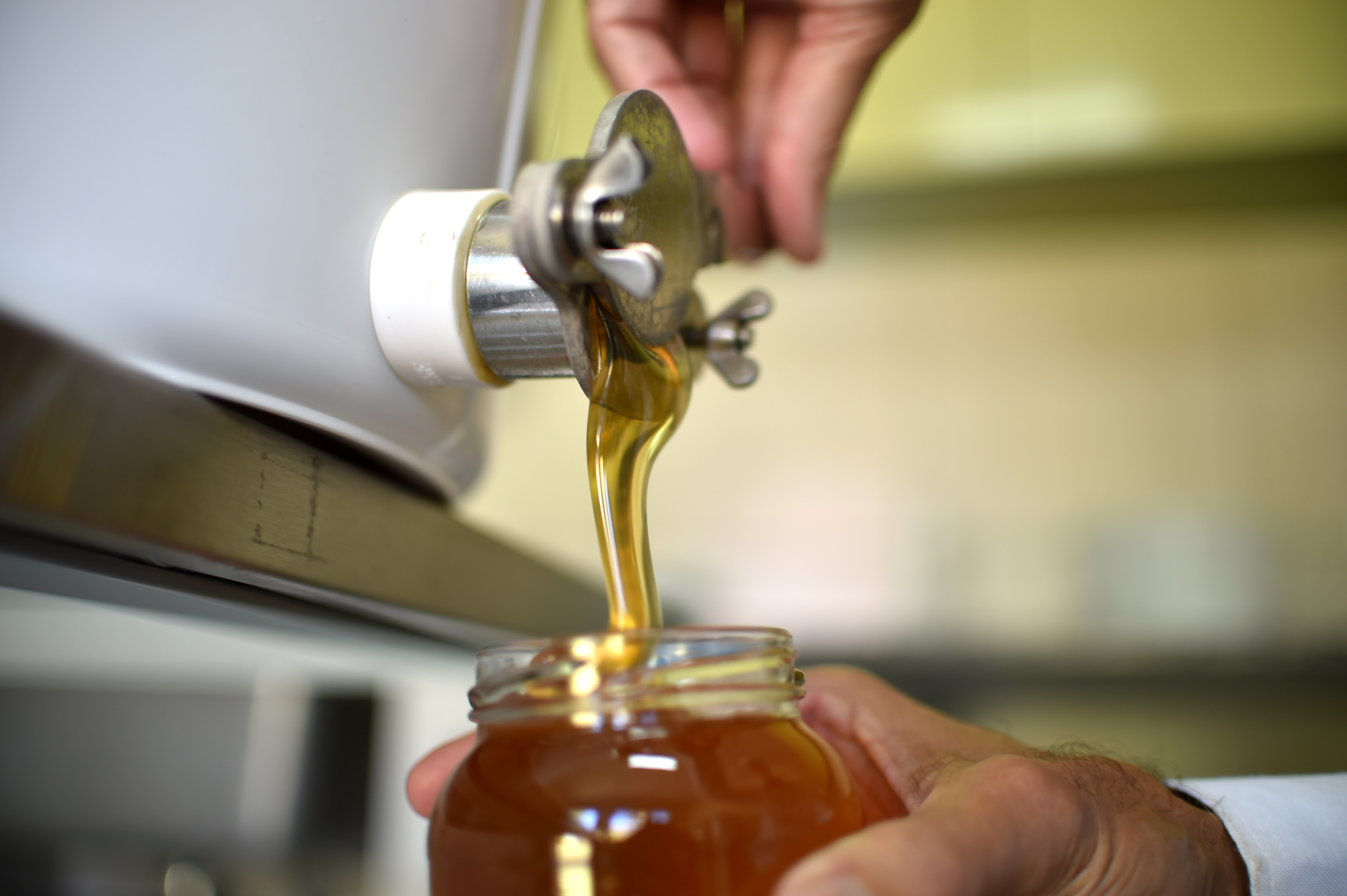 Com nova lei, potes do mel brasileiro podem ficar altamente restritos ao mercado nacional | Andre Borges/Agência Brasília