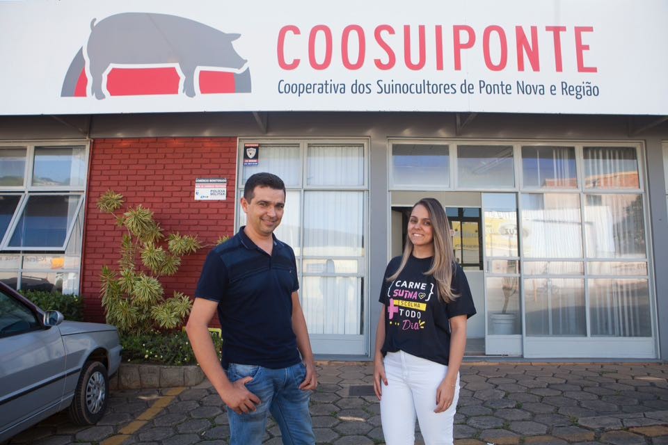 Mercado está “bão demais” para suinocultores mineiros | Daniel Caron/Gazeta do Povo