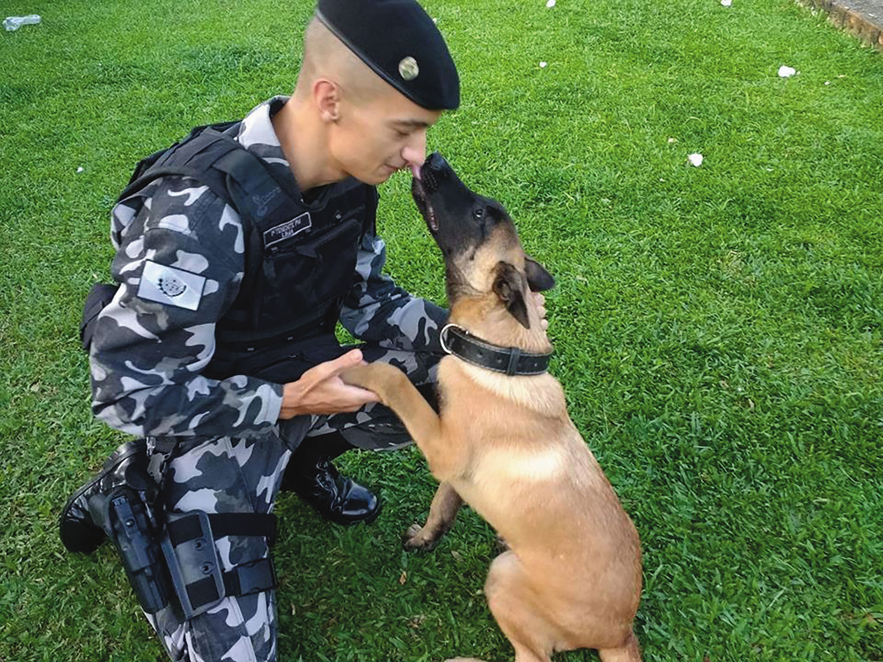 | Arquivo da família/