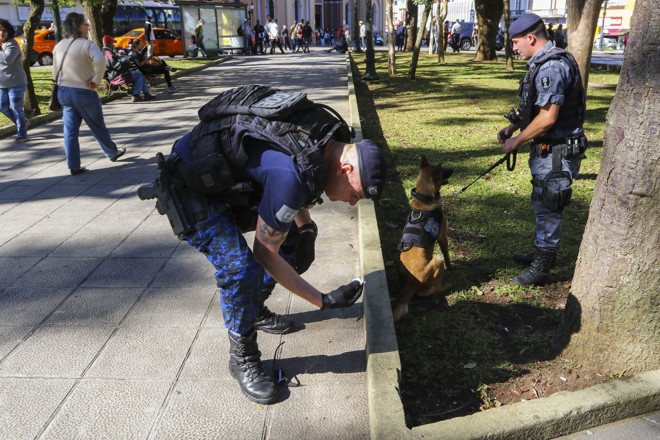 Guardas Municipais encontraram poucas gramas de maconha escondidas nas praças. | Daniel Castellano SMCS/SMCS