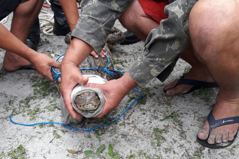 | Fagner Bernardi/Colaboração