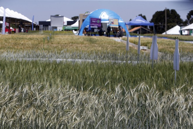  | Albari Rosa/Gazeta do Povo