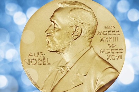 Por que o Brasil nunca ganhou um Nobel? “Universidades ficam isoladas do resto da sociedade, então tudo o que fazem fica muito voltado para dentro da academia”, diz Roberto Ellery. | Divulgação.