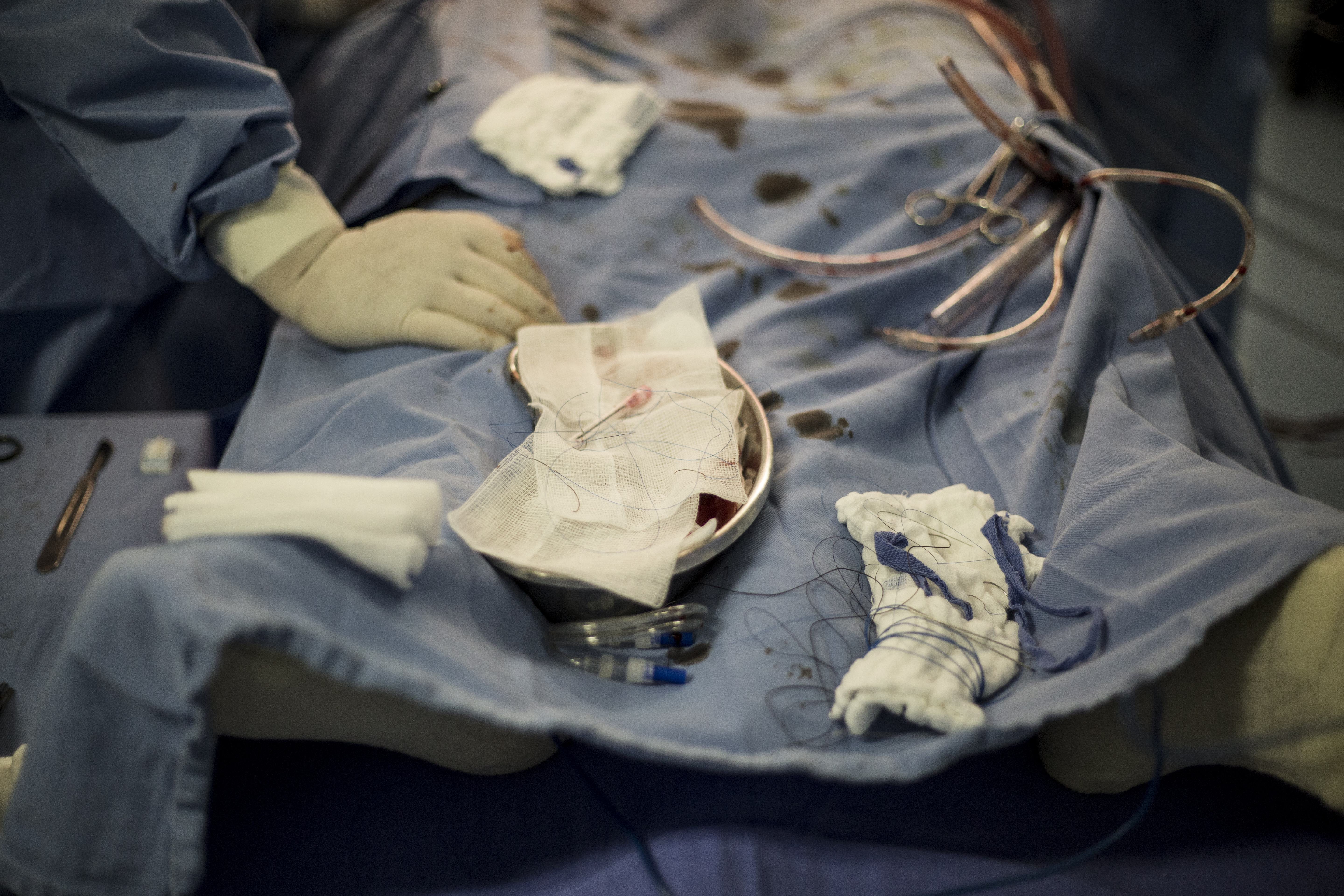 | Henry Milléo/ Arquivo Gazeta do Povo