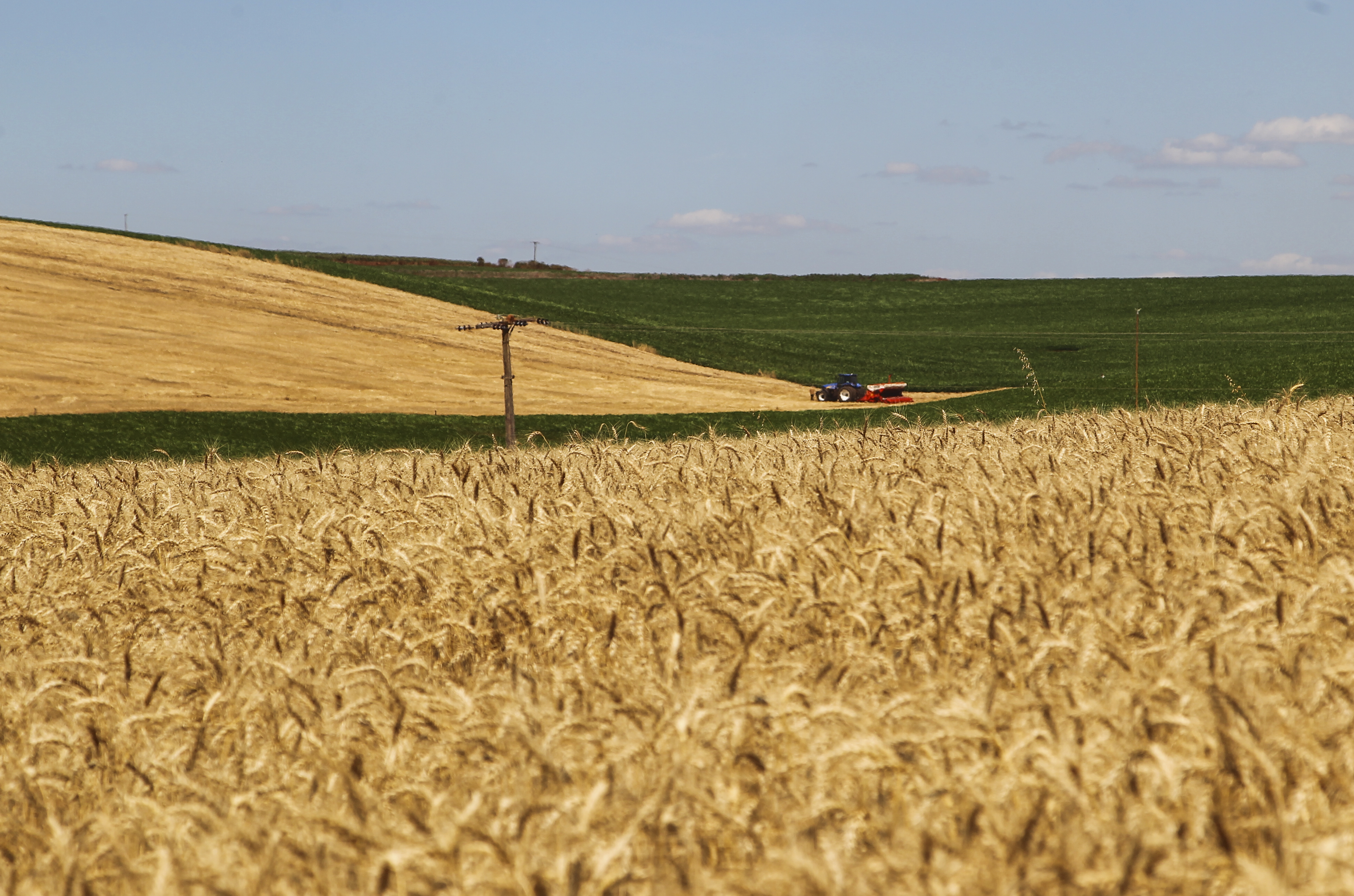 | Daniel Castellano/Gazeta do Povo
