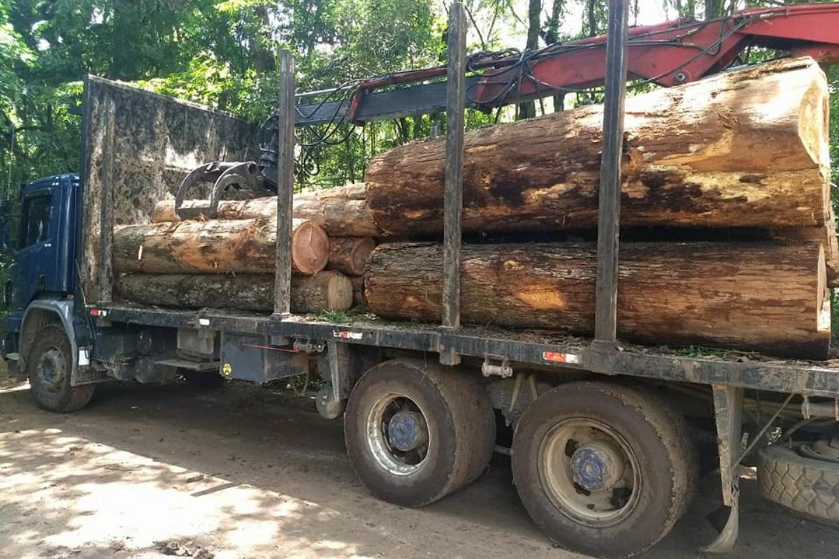 | Reprodução
/Rafael Greca