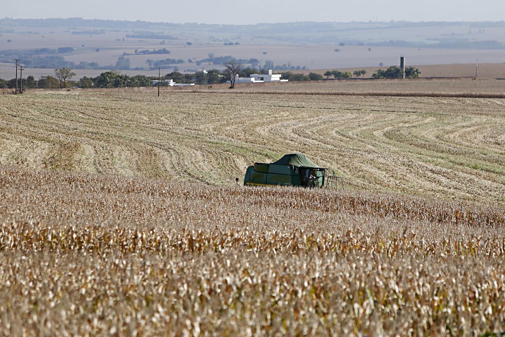Milho e soja, as principais culturas desta safra, devem responder por cerca de 89% dos grãos produzidos do país. | Albari Rosa/Gazeta do Povo