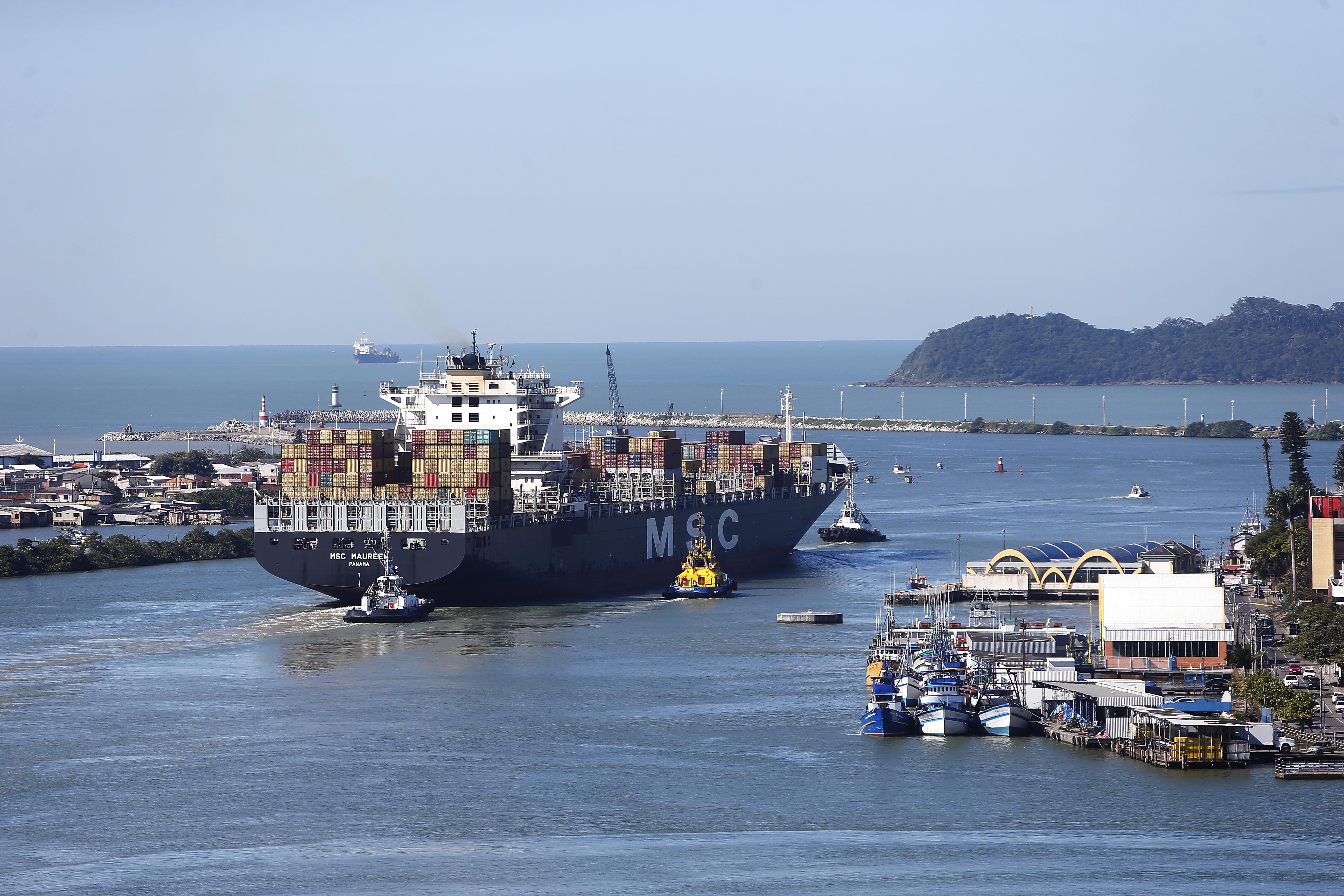 As exportações totais de carne de frango(considerando todos os produtos, entre in natura e processados) totalizaram 365,5 mil toneladas em outubro. | Albari Rosa/gazeta do povo