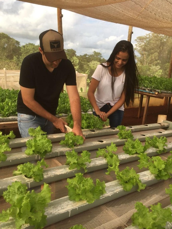 A produtora rural Flávia Coral e o namorado João Paulo Dias concorrem com um projeto no setor de sericicultura, que é a criação de bichos-da-seda. Atualmente, a família trabalha com grãos e hortaliças em Engenheiro Beltrão, no Noroeste do estado. | Flávia Coral