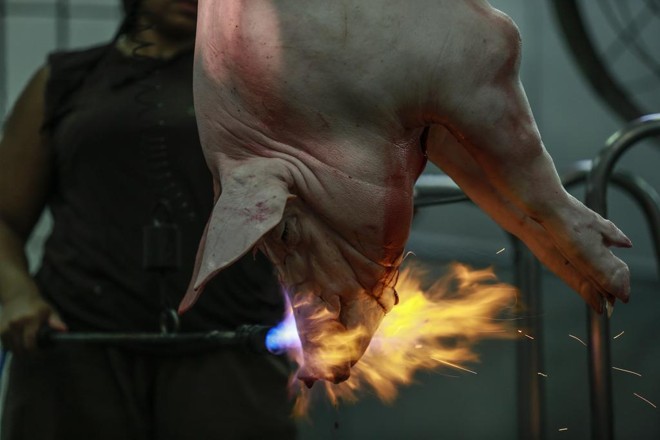 Rússia decretou embargo às carnes suína e bovina brasileira . Veto passa a valer em dezembro | Jonathan Campos/Gazeta do Povo