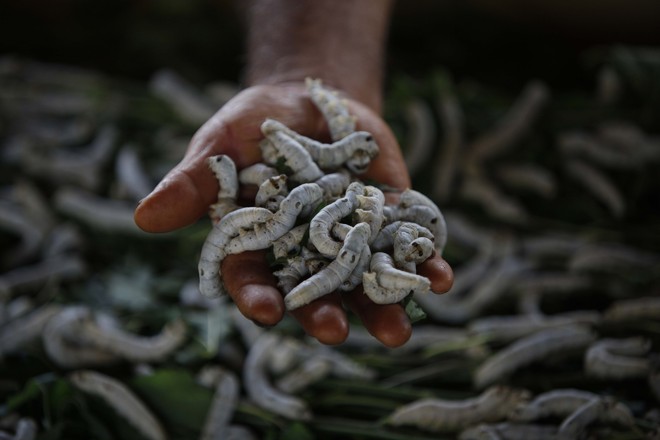  | JONATHAN CAMPOS/JONATHAN CAMPOS