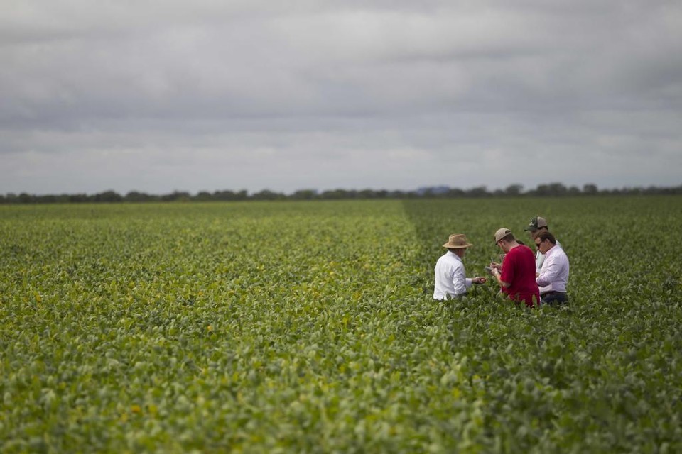 Diversos tipos de aplicativos têm ajudado agricultores e pecuaristas a terem na palma da mão opções para entenderem melhor suas propriedades. | JONATHAN CAMPOS/GAZETA DO POVO