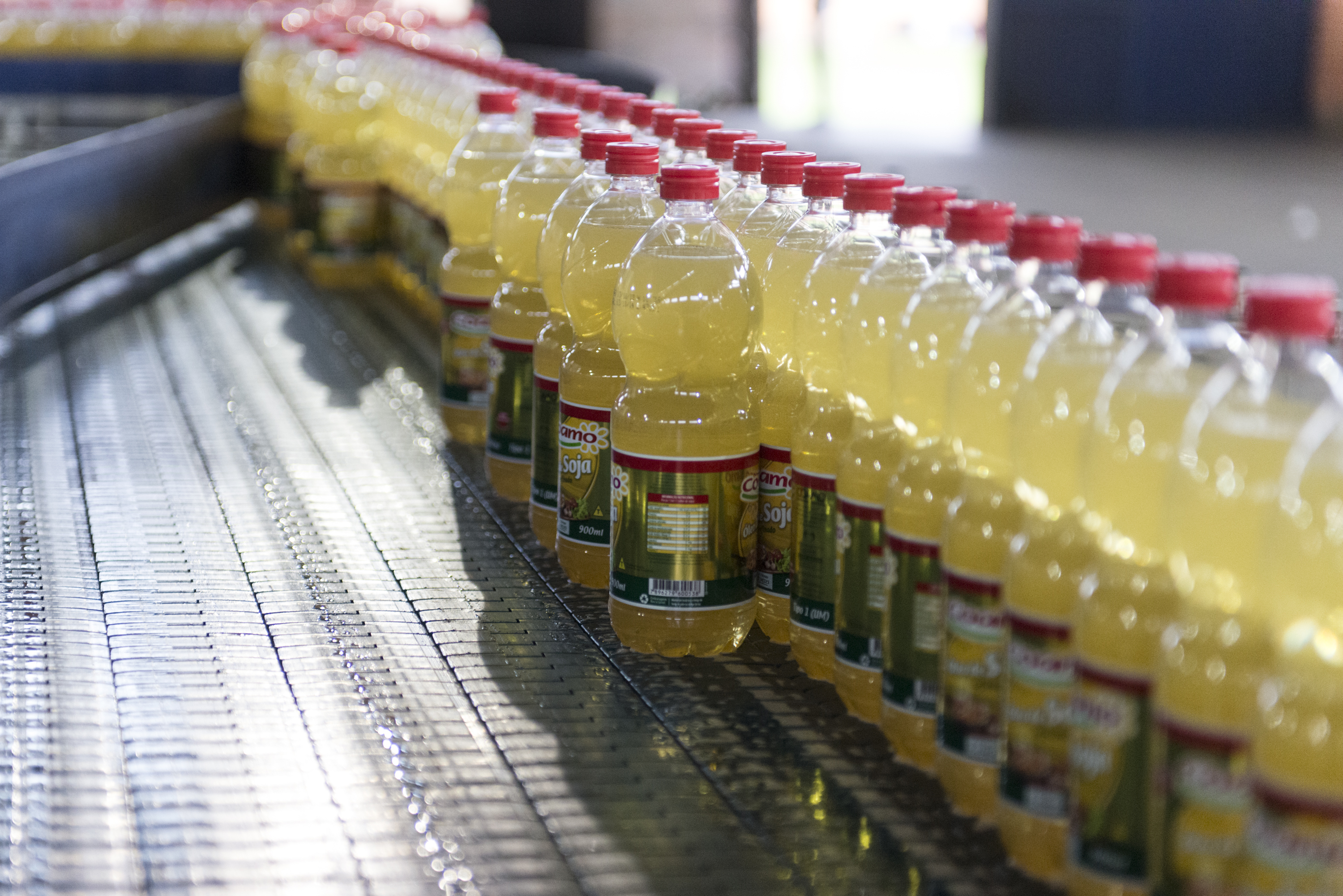 | HENRY MILLEO/Gazeta do Povo