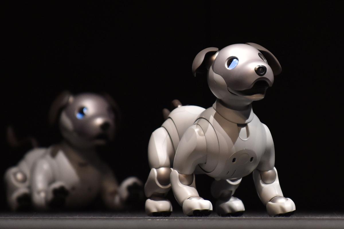 O novo Aibo, da Sony. | Kazuhiro Nogi/AFP