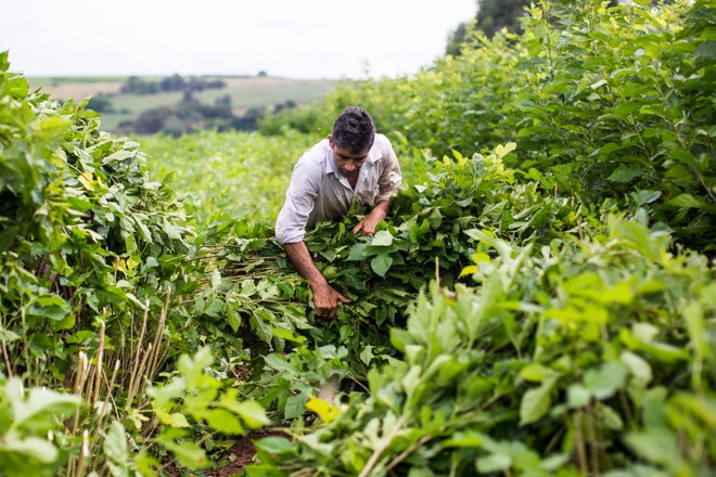  | BRUNNO COVELLO/BRUNNO COVELLO