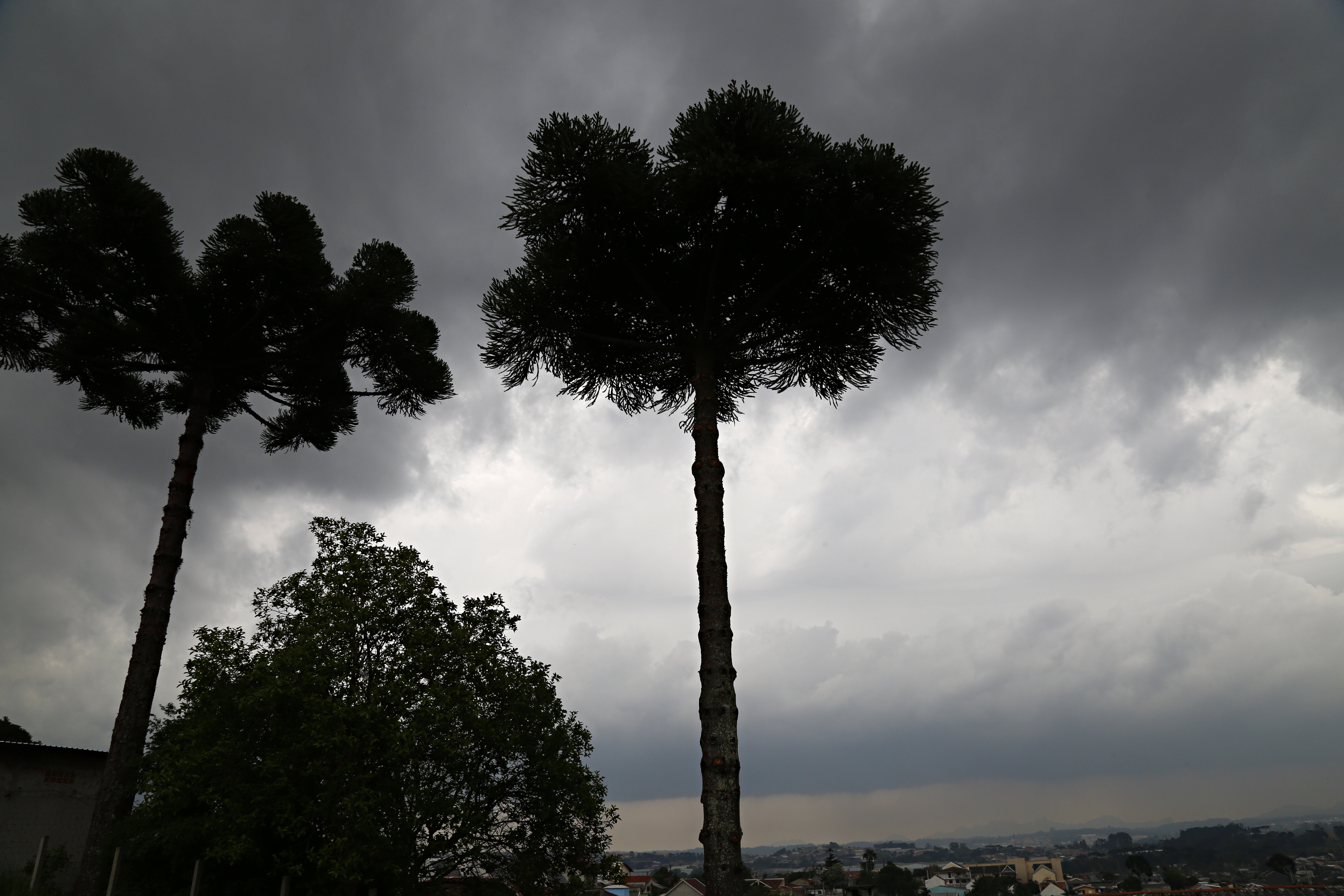 | Aniele Nascimento/Gazeta do Povo