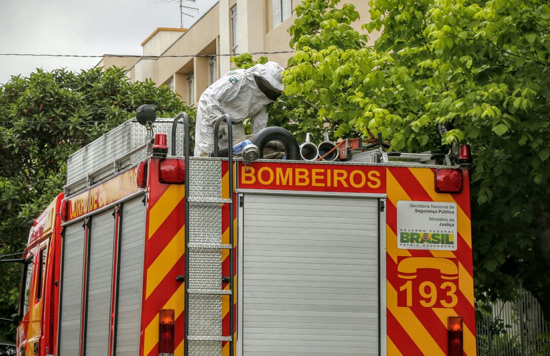 Bombeiros foram chamados para retirar as abelhas na Rua Santa Catarina. | Aniele Nascimento/Gazeta do Povo
