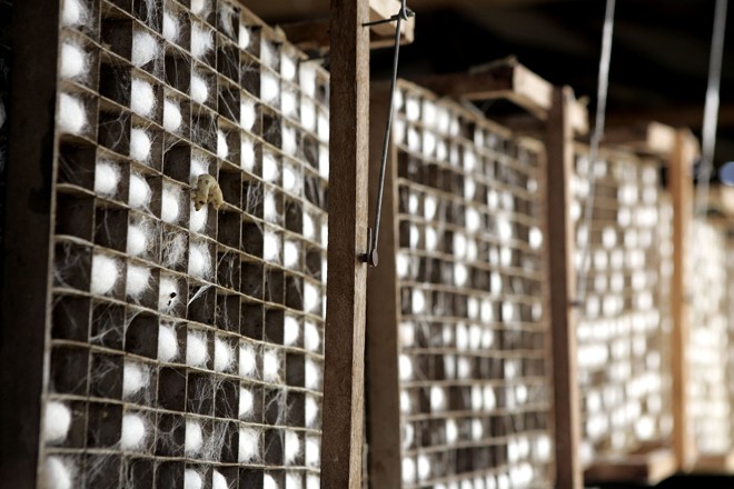  | HEDESON ALVES/HEDESON ALVES