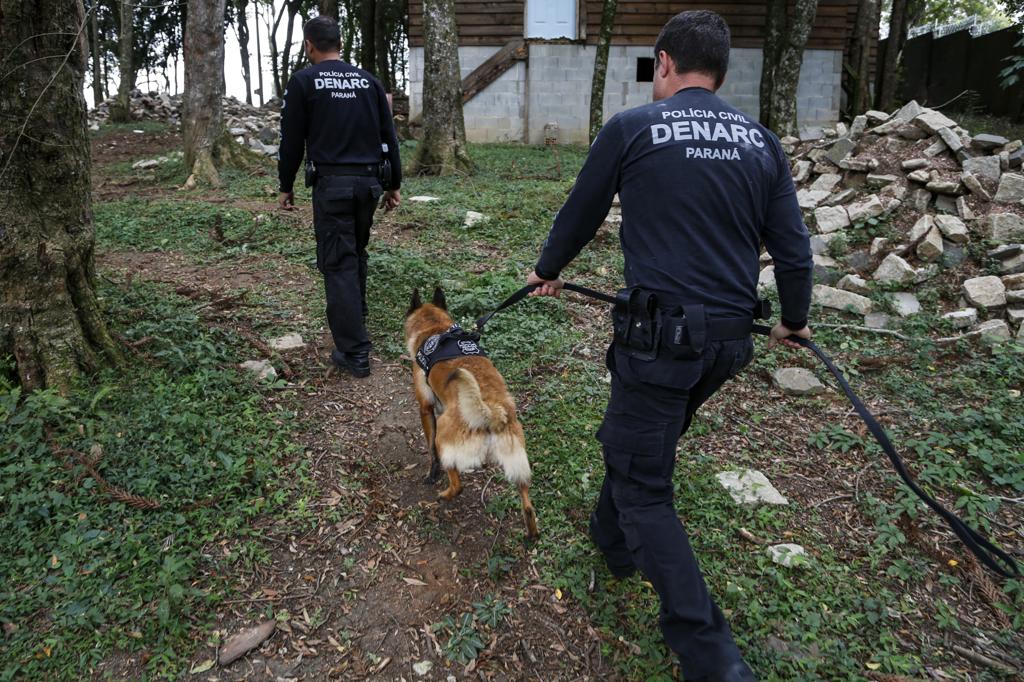 Policiais do Denarc usam cães farejadores na busca por drogas em Matinhos. | HENRY MILLEO / AGENCIA DE NOTICI/HENRY MILLEO / AGENCIA DE NOTICI