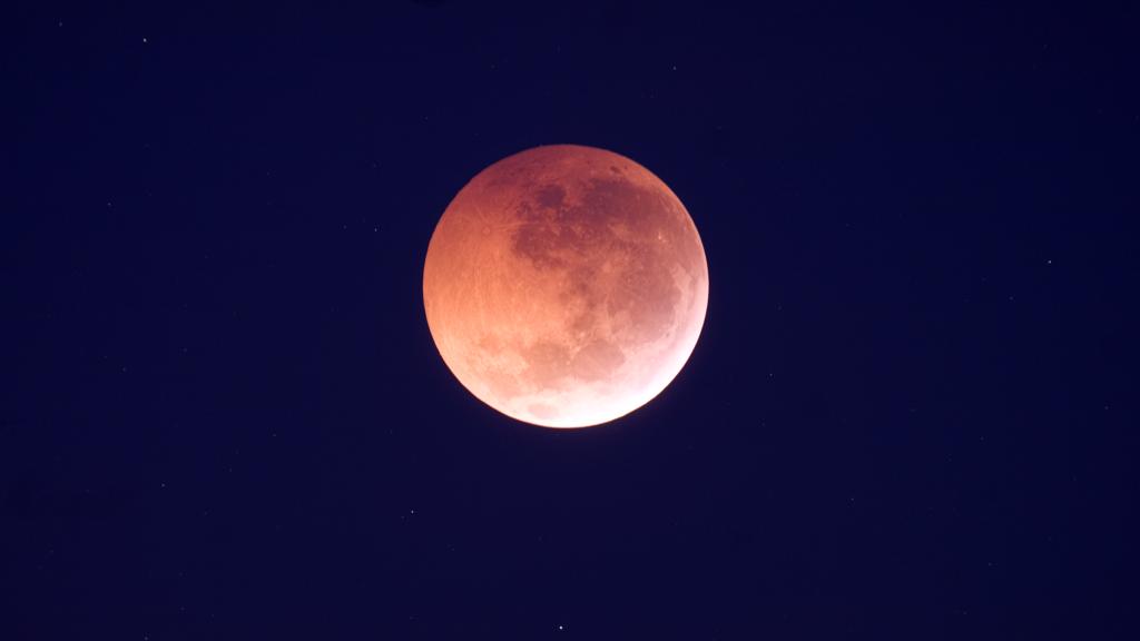  | Fabiano Belisario Diniz/Divulgação