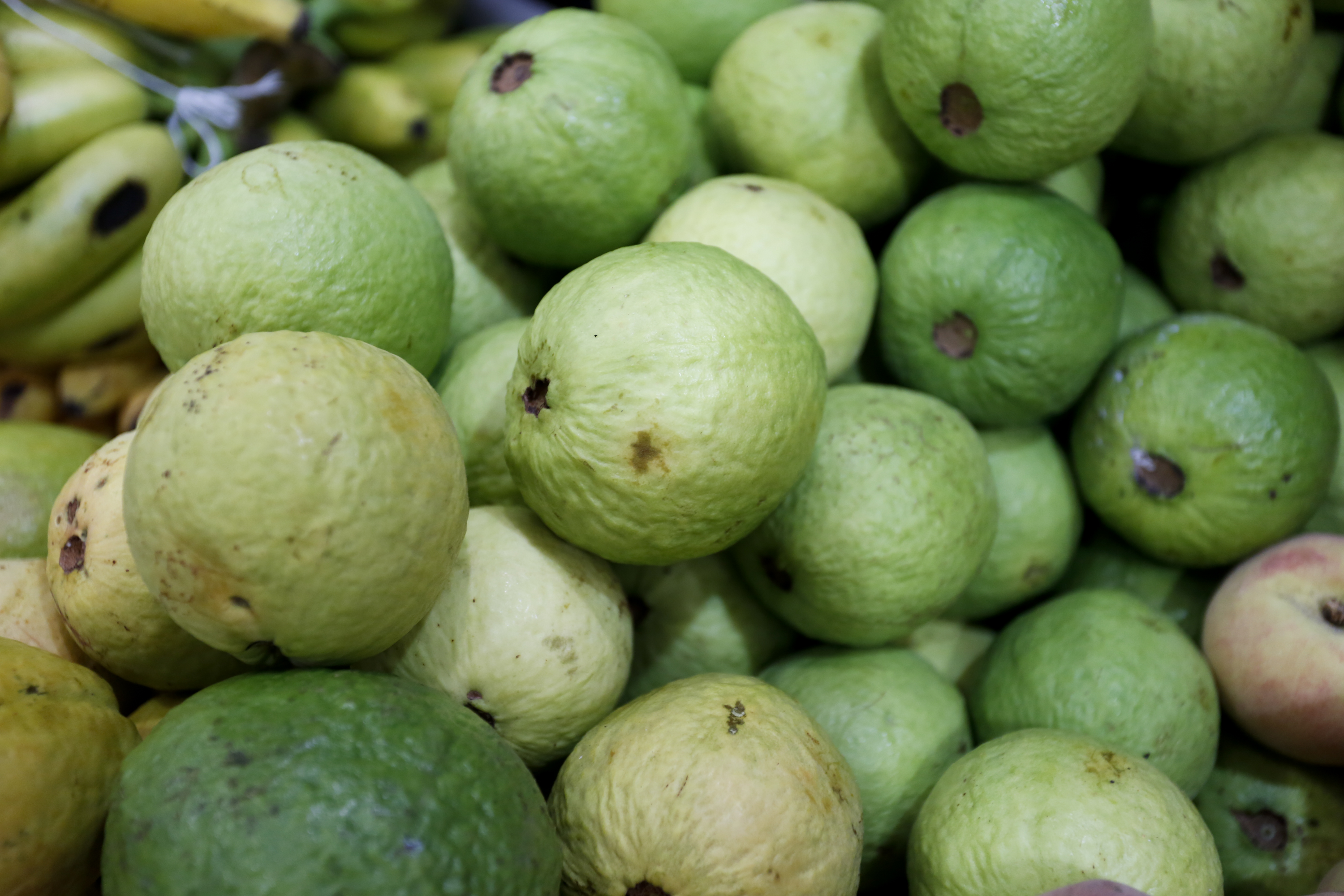 | Arquivo/Gazeta do Povo