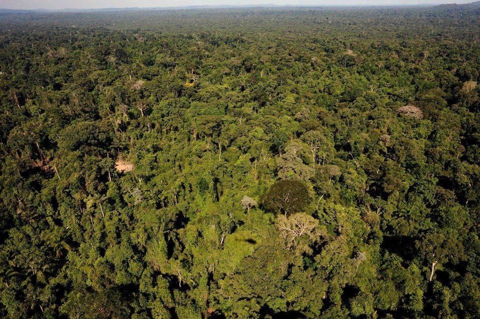 O objetivo da análise foi investigar o que significa estar de acordo com o que prevê o novo Código Florestal brasileiro. | LUNAE PARRACHO/AFP