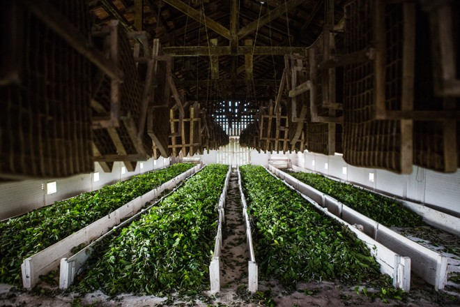  | BRUNNO COVELLO/BRUNNO COVELLO