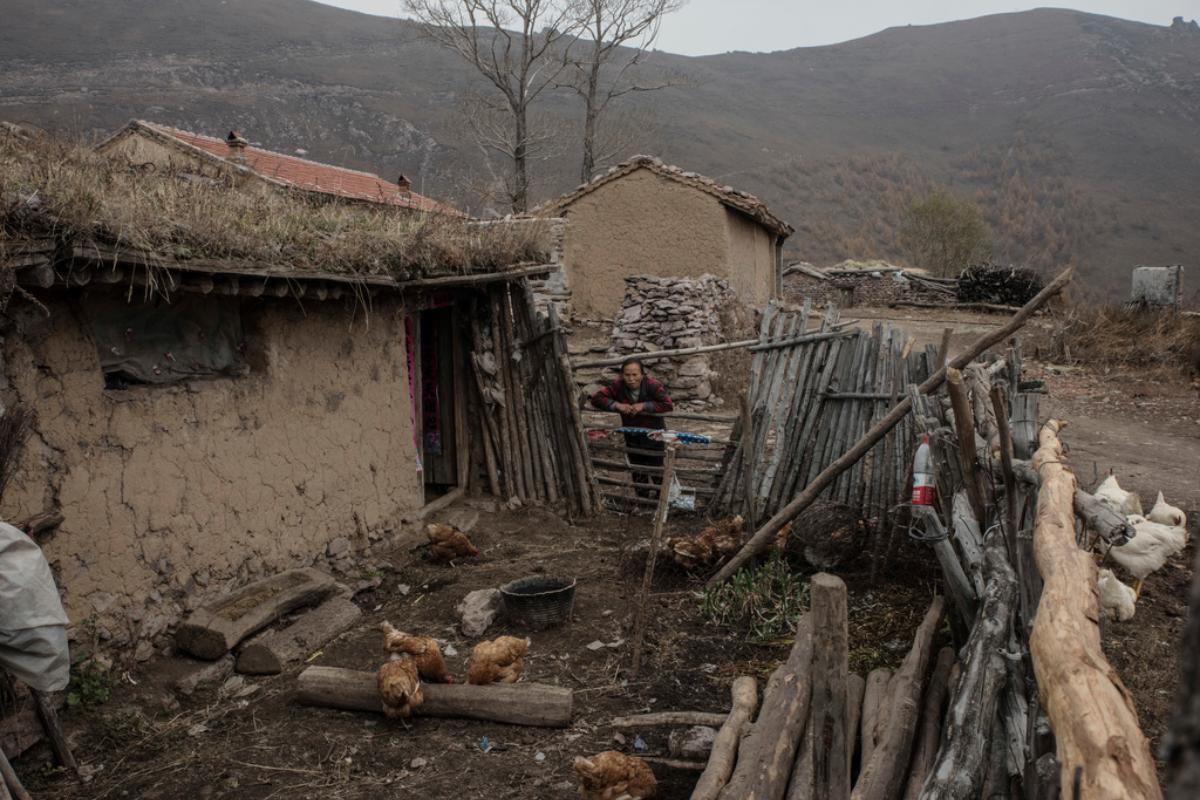 Han Guiying, que, com seu marido, não tem renda e não recebe ajuda do governo, observa suas galinhas na aldeia rural de Chashan, China | GILLES SABRIE/NYT