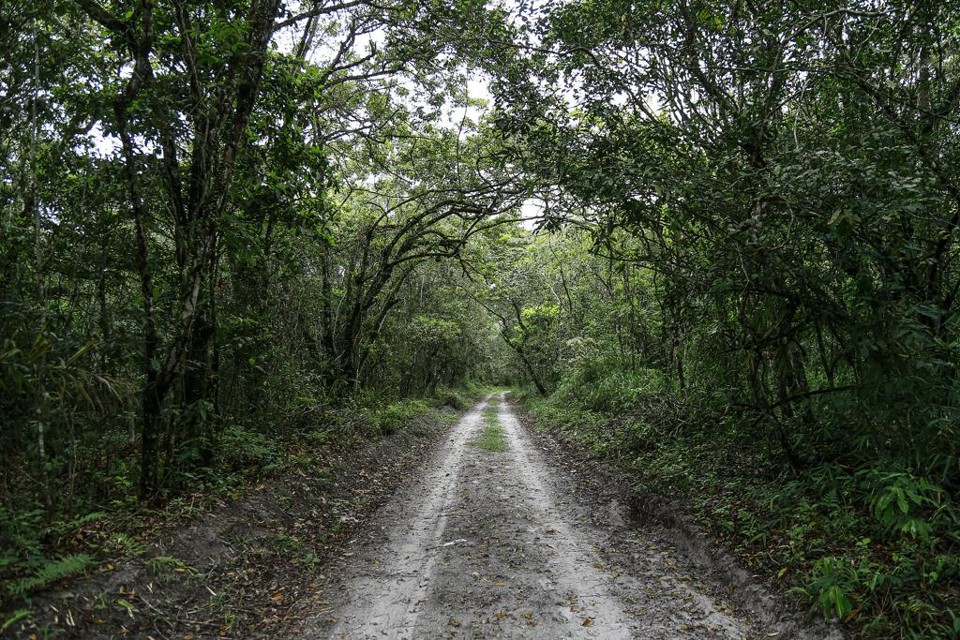Onde estão os limites entre a preservação ambiental e o desenvolvimento? Pontal do Paraná, cidade que receberá a chamada Faixa de Infraestrutura | Jonathan Campos/Gazeta do Povo