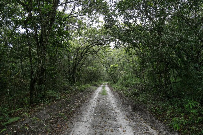Pontal do Paraná, cidade que receberá a chamada Faixa de Infraestrutura | Jonathan Campos/Gazeta do Povo