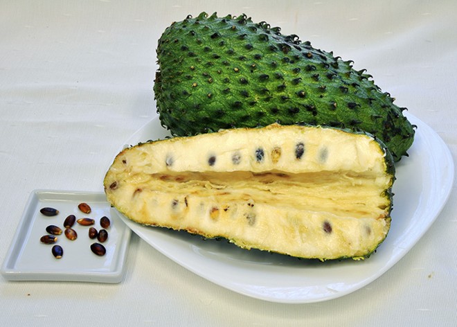 Substâncias encontradas na gravioleira são conhecidas há, pelo menos, 40 anos. | Divulgação/ Embrapa