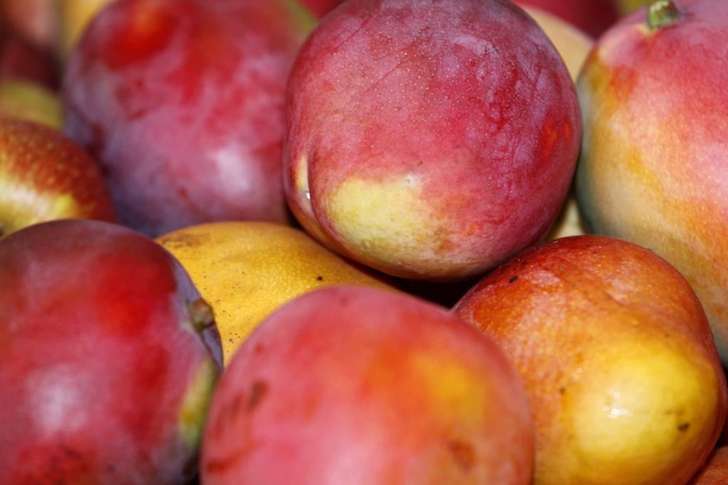 Variedades palmer, kent e keitt são preferidas por ter menos fibras, ao contrário da variedade tommy