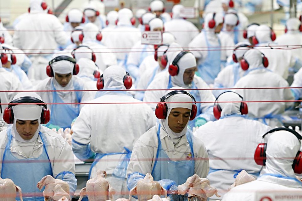 Europeus estariam usando dois pesos e duas medidas para proteger produção local contra concorrência brasileira | Albari Rosa/Gazeta do Povo