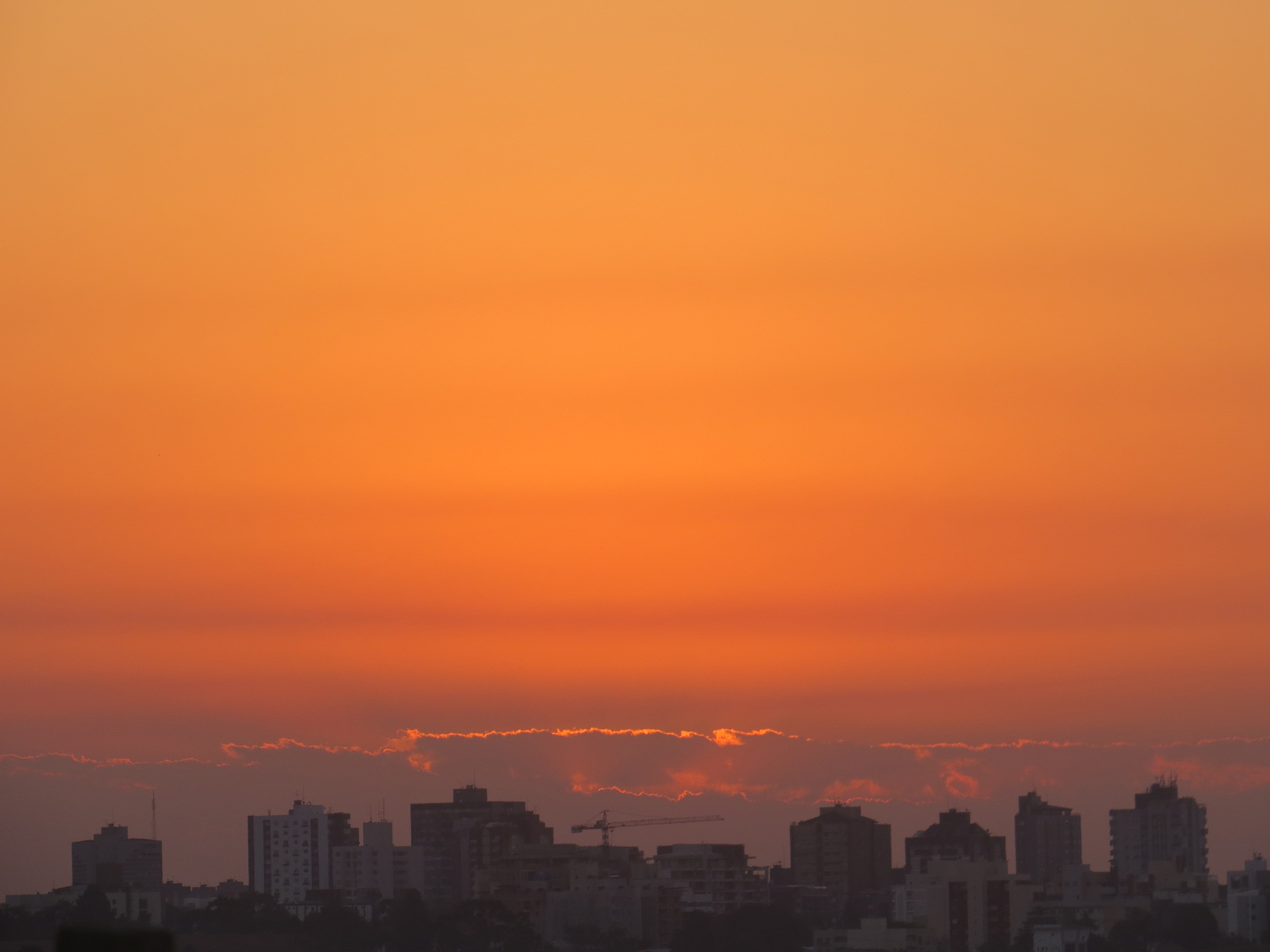 | Aniele Nascimento/Gazeta do Povo
