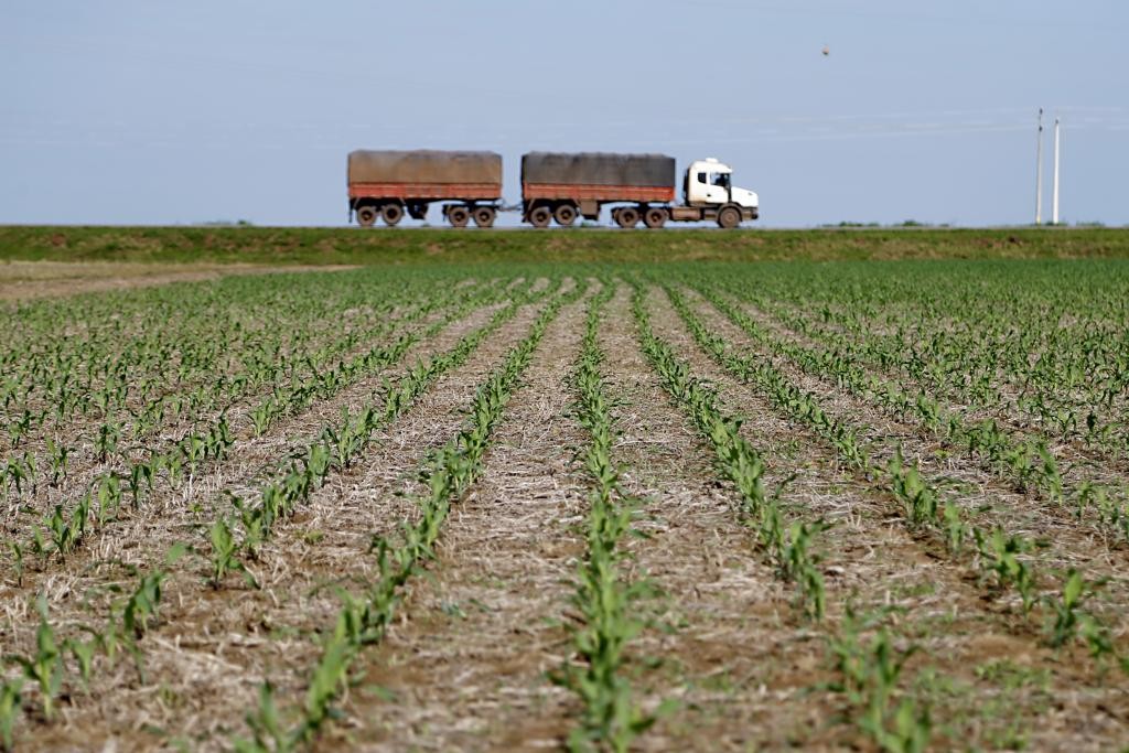 Oferta abundante de milho atrai investidores para produção de biocombustíveis no Centro-Oeste brasileiro